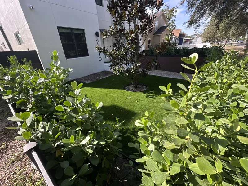 Artificial turf lawn by Master360 Services in Clearwater, FL