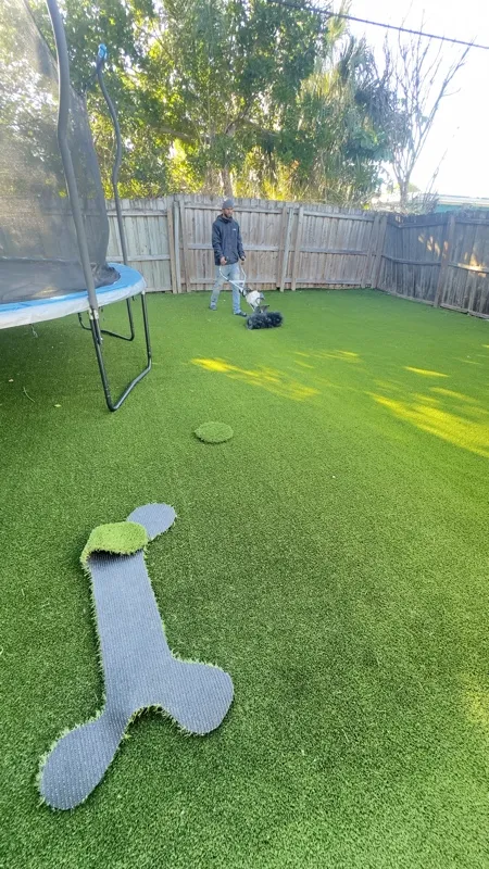 Pet-friendly turf play area by Master360 Services in Largo, FL