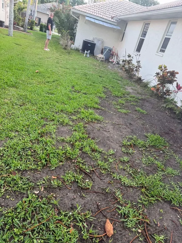 Yard before a Master360 Services transformation in Bradenton, FL